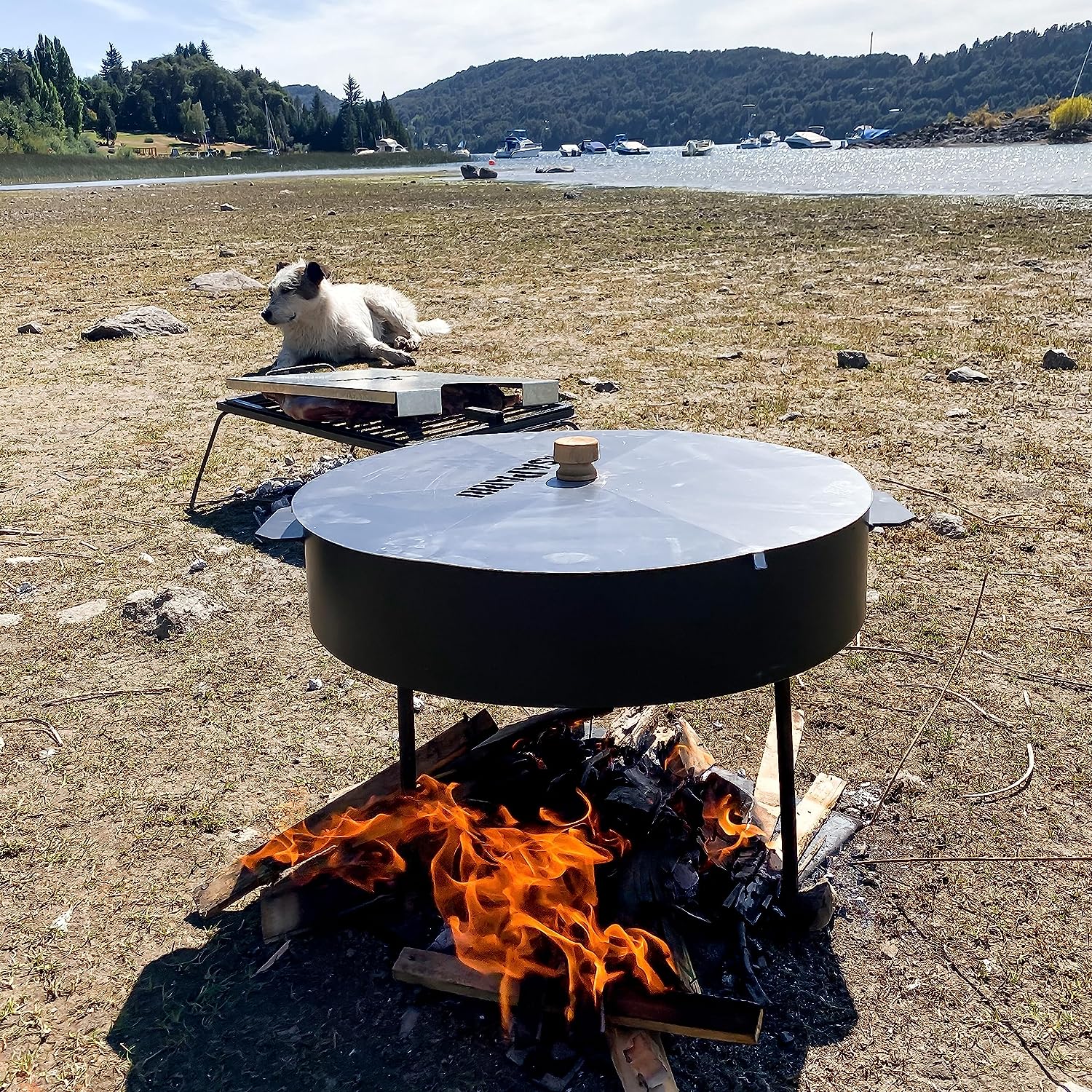 Luxury Argentine Disco de Arado - Argentina Paellera - BBQ Parrilla Asado. - Image 7